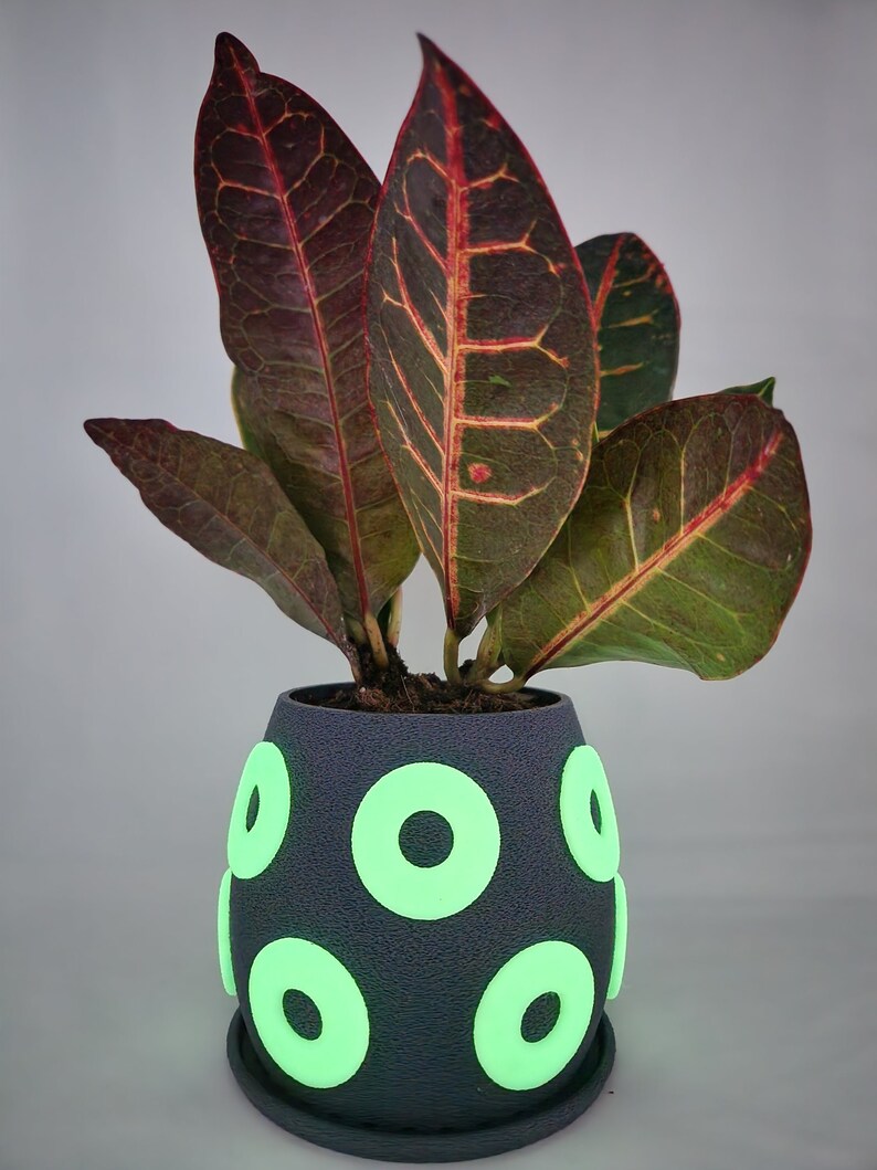 Phish Glow in the Dark Donut Handmade Planter, Flower Pot - 5 x 5 | Eco-Friendly PLA Plastic | Gift for Her | Fathers Day Gift | Planter
