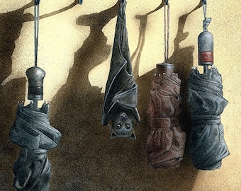 umbrellas in the belfry...