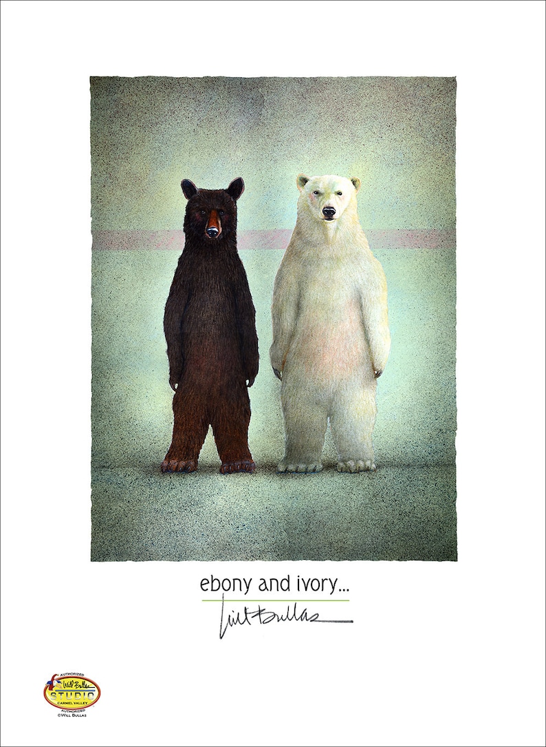 bears animals humor Will Bullas art print ebony and ivory..