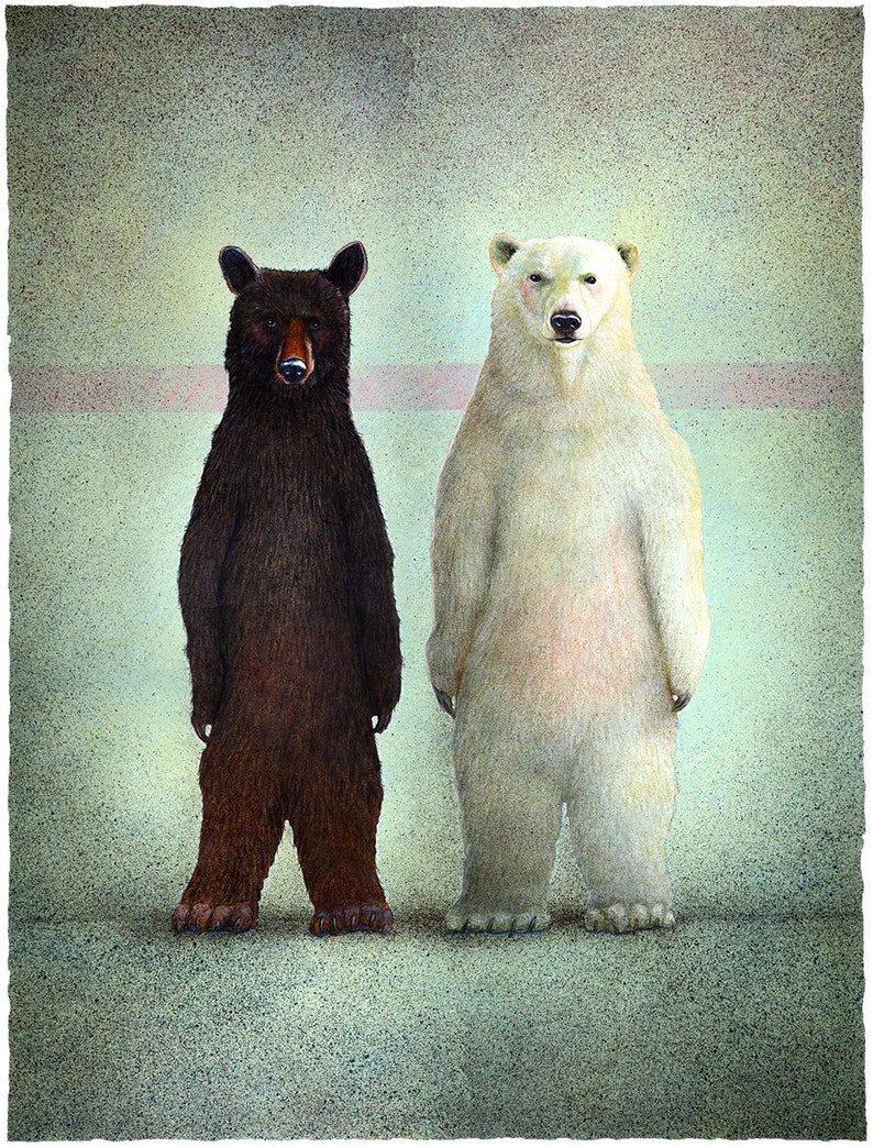 bears animals humor Will Bullas art print ebony and ivory..