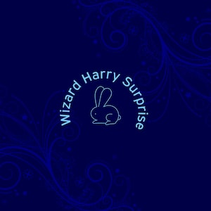 Wizard Harry Surprise