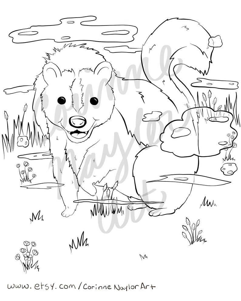 Forest Friends Coloring Page: Skunk - Etsy