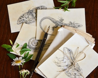 Set of Four Illustrated Postcards / Mini Prints - "Little Garden Friends". Animal illustrations.