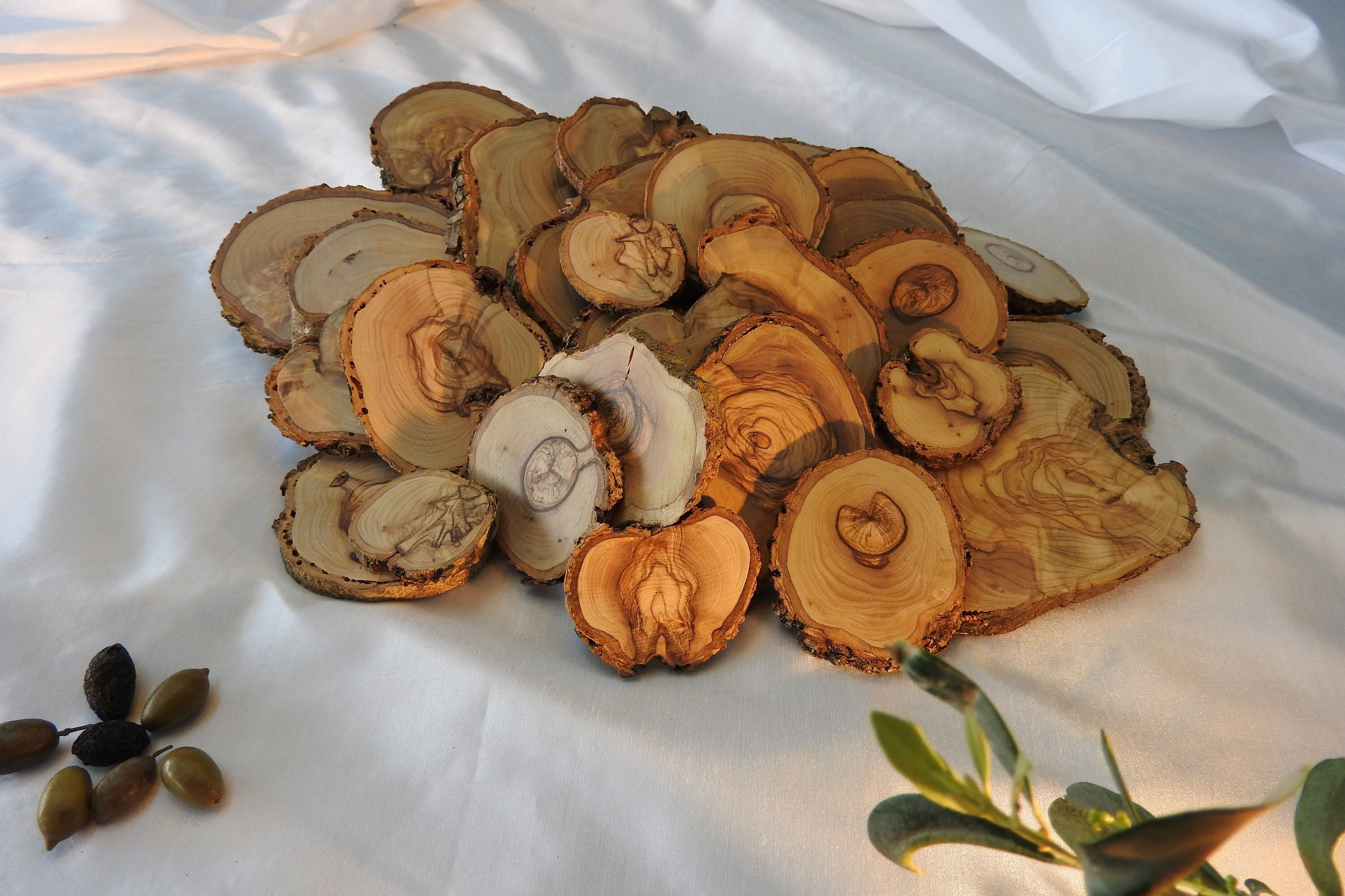 Rodajas de madera de olivo