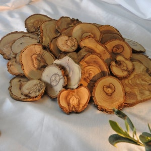 2 kg Olivenholz-Scheiben, verschiedene Größen, Rohlinge sauber geschnitten, unbehandelt,