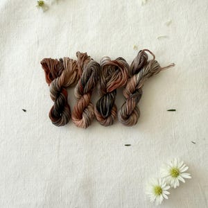 Può includere: Quattro matasse di filo da ricamo variegato caratterizzate da una miscela di toni terrosi marrone, ruggine e grigio antracite. I fili ritorti sono disposti in una fila orizzontale, mostrando un aspetto tinto a mano con sottili sfumature.