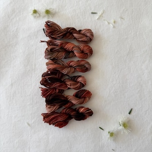 Può includere: Sei matassine di filo da ricamo disposte in una colonna verticale. Ogni matassina presenta una tavolozza di colori sfumati di marroni profondi, ruggine caldo, arancione bruciato e tenui toni rosati, attorcigliate in un fascio compatto.