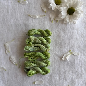 Set di fili da ricamo freschi, tinti a mano, di colore verde.