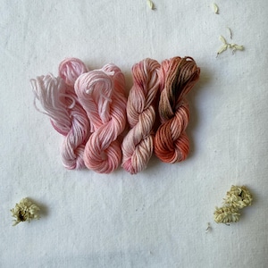 Può includere: Quattro matassine di filo da ricamo disposte in fila, che sfumano dal rosa pastello pallido a un arancione terracotta caldo e profondo. I fili presentano un aspetto variegato e tinto a mano con sottili variazioni tonali in ogni matassina.