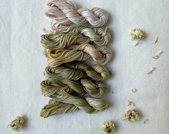 Sage  Matte Hand Dyed Embroidery Floss