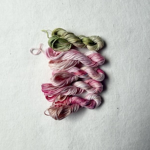 Può includere: Una collezione di sei matassine di filo da ricamo ritorte disposte in una pila verticale. La matassina superiore è di un verde salvia tenue, seguita da cinque matassine in varie tonalità di rosa, dal rosa pallido al magenta intenso e rosa antico.