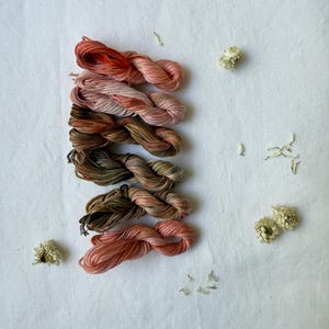 Può includere: Sei matassine di filo da ricamo disposte in una colonna verticale, caratterizzate da una sfumatura di colori che varia dal corallo tenue e rosa antico al verde oliva spento e marrone scuro, accompagnate da piccoli petali di fiori bianchi secchi.