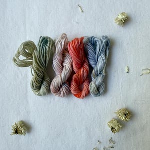 Può includere: Quattro matasse di filo da ricamo disposte in fila, caratterizzate da colorazioni variegate nelle tonalità verde salvia, rosa pallido, arancione vibrante e blu polvere, accompagnate da alcuni piccoli fiori bianchi secchi sparsi.
