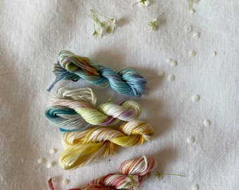 ARTIST'S Palette Hand Dyed Embroidery Floss Set