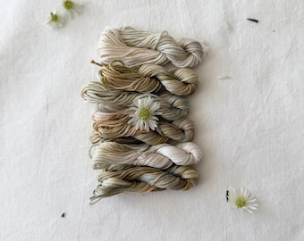 Gentle Sage  Matte Hand Dyed Embroidery Floss