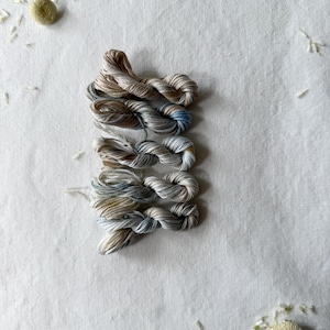 May include: Five small, twisted skeins of embroidery floss arranged in a vertical column. The thread features a variegated color palette of soft beige, light brown, muted grey, and subtle hints of pale blue, creating a blended, multi-tonal effect.
