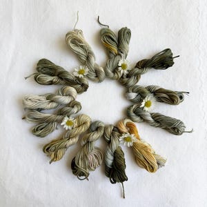 Può includere: Vista dall'alto di una disposizione circolare di filo da ricamo tinto a mano. Il filo è in tonalità di verde, grigio e beige, con piccole margherite bianche sparse. Il filo è annodato in piccoli fasci su sfondo bianco.