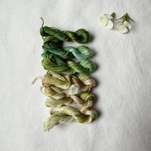 Garden Delights Hand Dyed Variegated Embroidery Thread Set