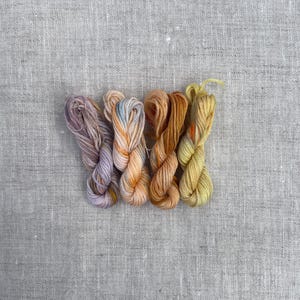 Macaroons Hand Dyed Embroidery Floss Set