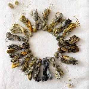 Può includere: Una disposizione circolare di piccole matasse di filo da ricamo tinte a mano in una gamma di toni terra, tra cui sfumature di verde oliva, giallo senape, grigio antracite e marrone, con petali di fiori secchi sparsi intorno.