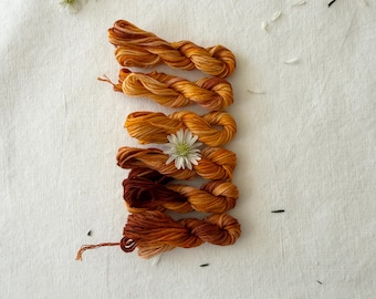 Pumpkin Hand Dyed Matte Embroidery Floss Set