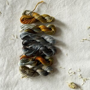 Può includere: Sei matassine di filo da ricamo disposte in una pila verticale. I fili presentano palette di colori sfumati che includono tonalità giallo senape, arancione bruciato, verde salvia, blu ardesia e grigio antracite, con una consistenza ritorta.