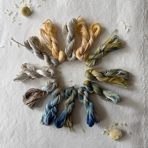 Può includere: Una collezione di dodici matassine di filo da ricamo tinte a mano disposte in un motivo circolare. I fili presentano tavolozze di colori variegati che vanno dai gialli e creme tenui ai verdi spenti, marroni terrosi e blu profondi, con due piccoli fiori secchi.