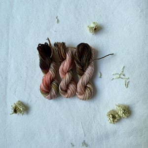 May include: Three small skeins of embroidery floss featuring a variegated color palette of deep chocolate brown, soft dusty pink, and muted sage green. The twisted threads are arranged vertically and surrounded by scattered dried flower petals.