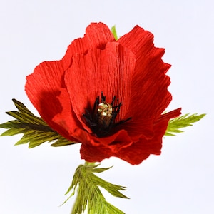 Paper Poppy