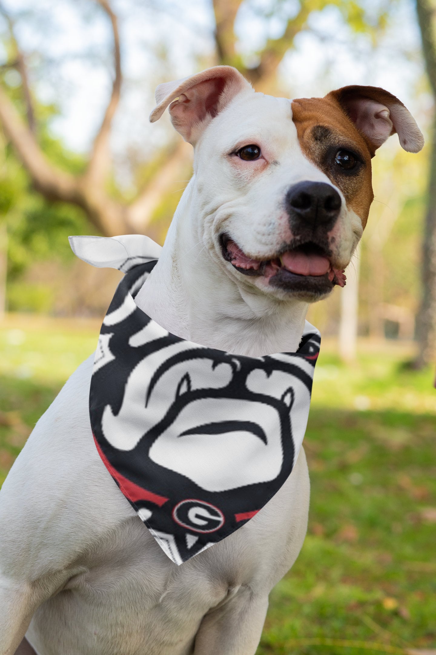 Uga dog bandana cheap
