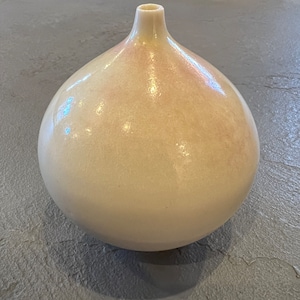 Può includere: Un vaso in ceramica bianca con una forma rotonda e bulbosa e una sottile tonalità rosa. Il vaso ha una finitura liscia e lucida.