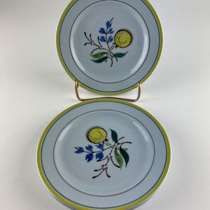 Può includere: Due piccoli piatti in ceramica azzurra con bordo giallo e verde. Ogni piatto presenta un disegno dipinto a mano di un frutto giallo, fiori blu e foglie verdi. I piatti sono esposti su un supporto in metallo color oro.