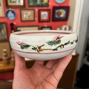 May include: A white ceramic bowl with a floral design. The bowl has a red rim and is decorated with pink flowers, green leaves, and brown branches. The bowl is held in a person's hand.