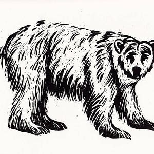 Cartel grabado en madera de oso polar, pequeña impresión de arte para habitación infantil, original grabado en madera impreso a mano, edición limitada, cartel de animales imagen 3