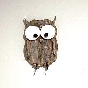 Rustic Owl with Hooks