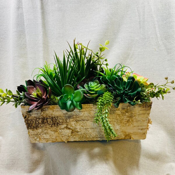 Birch Bark Planter Etsy