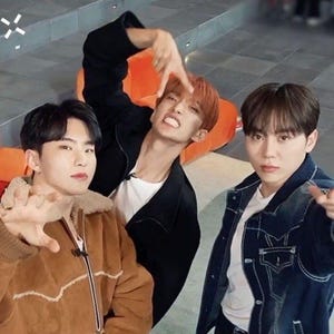 BSS Booseoksoon Hand Signs Sticker - Etsy