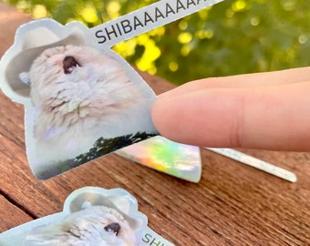 AgustD Shibal sticker