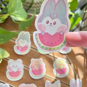 Watermelon Stray Kids Skzoo Sticker