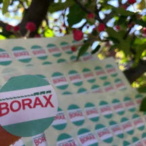 Può includere: Un foglio di adesivi rotondi con la parola "BORAX" stampata in rosso su una striscia bianca, circondata da un cerchio verde. Gli adesivi sono su uno sfondo bianco.