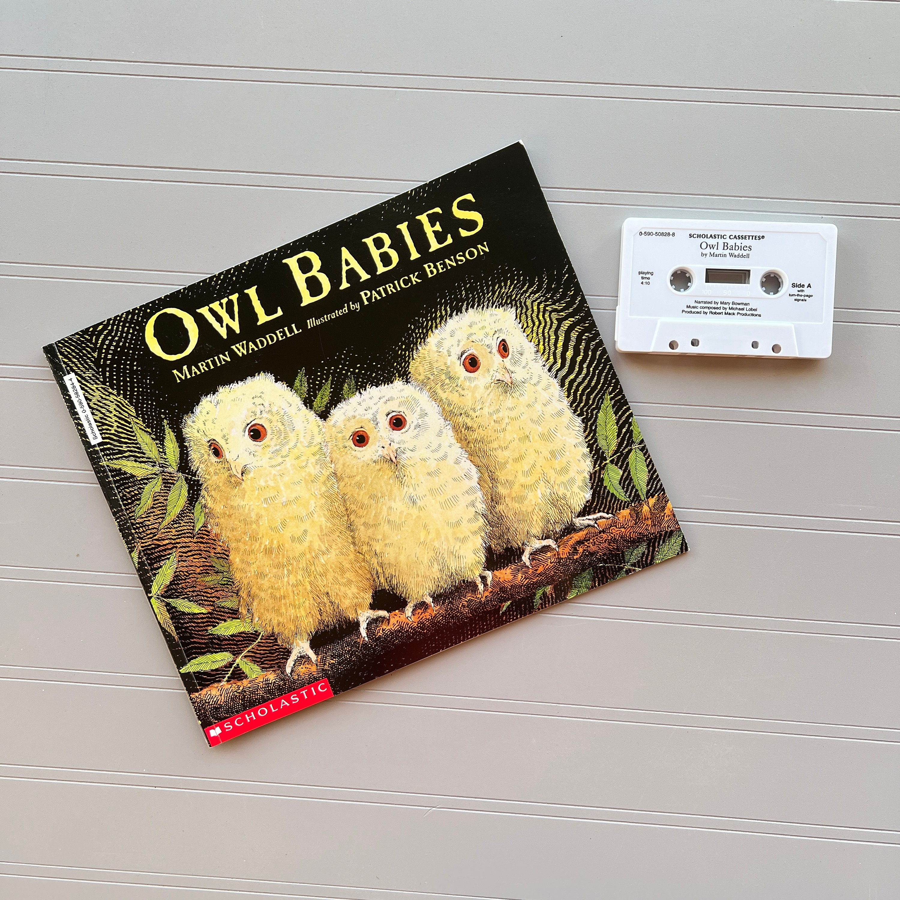 Owl Babies by Waddell, Martin (April 1, 2002) Paperback: Martin