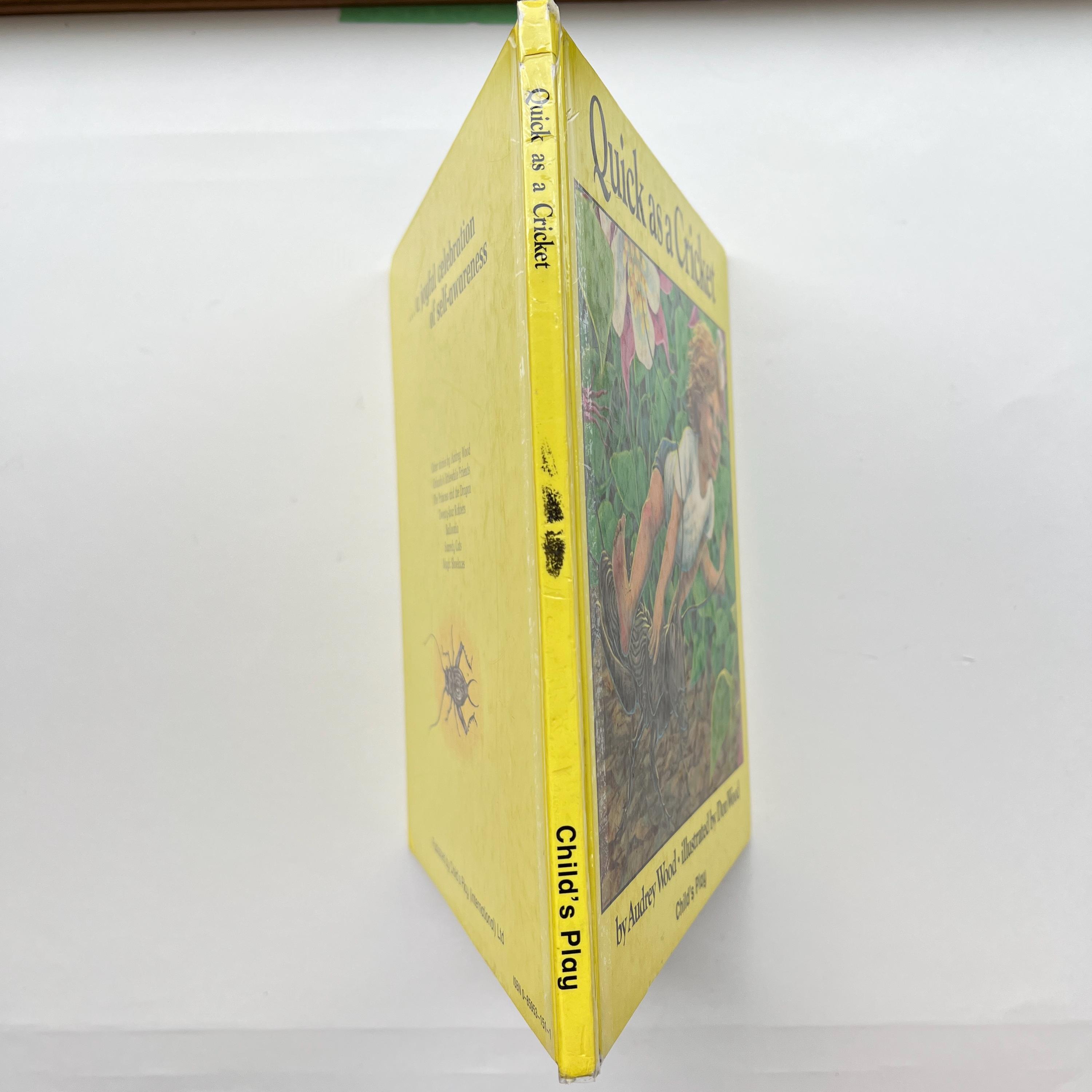 1982 Quick as a Cricket by Audrey & Don Wood Wood, Self-awareness