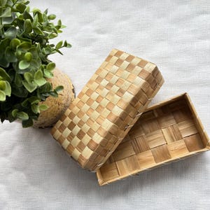 May include: A rectangular woven box with a lid, crafted from light and dark brown natural materials. The box is open, revealing the interior. A small green plant in a decorative pot is in the background.
