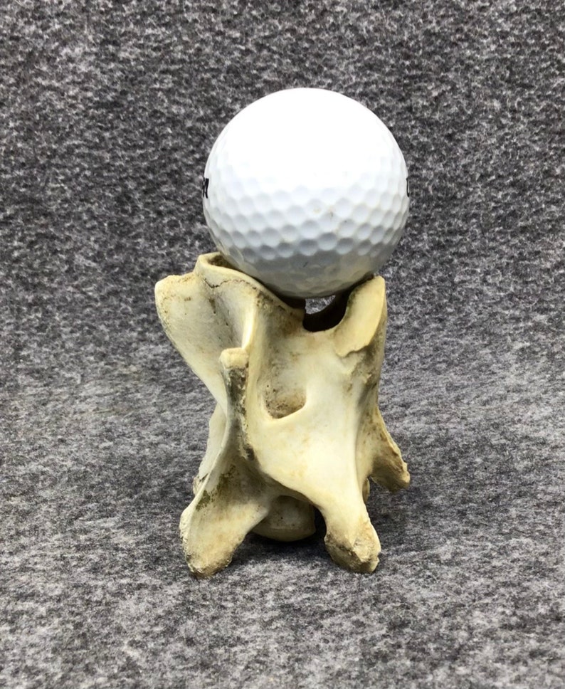 Golf Ball Stand/display/holder/whitetail Vertebrae Etsy