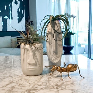 Face vase & Air Plant holder, Head planter, Head vase, dried flowers, Tillandsia display, Abstract Vases, Modern pottery with Human faces