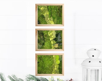 Small moss art gift, Miniature moss decor, Tiny moss wall art, Botanical gift, frame nature-inspired, idea for nature and plant enthusiasts
