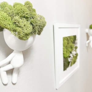 Wall Planter & Air Plant holder, wall decor, Head Planter, Wall hanging planters, Air plant gift, Face Planter, Tillandsia, First Home Gift