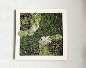 Moss art, Natural decor, Moss wall art, Botanical artwork, Organic decoration, Living art, Natural wall decor, Preserved moss, Eco-friendly