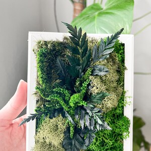 May include: A framed moss wall art piece with a white frame and a variety of green and black moss and ferns.