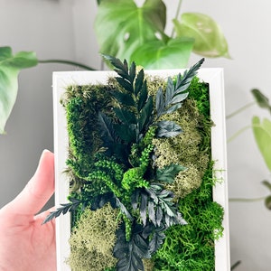 May include: A white framed square wall art piece with a variety of green moss and ferns.